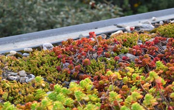 the cost of Coombses green roof installation