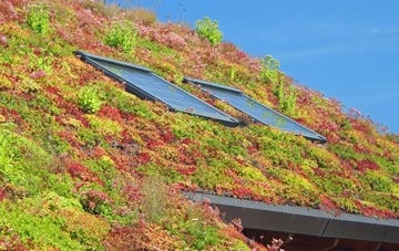 Coombses living roof systems