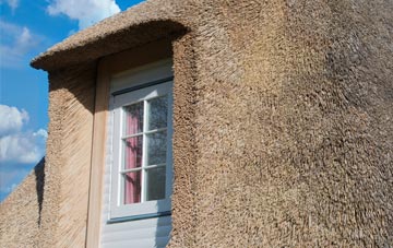 Coombses thatch roof disadvantages